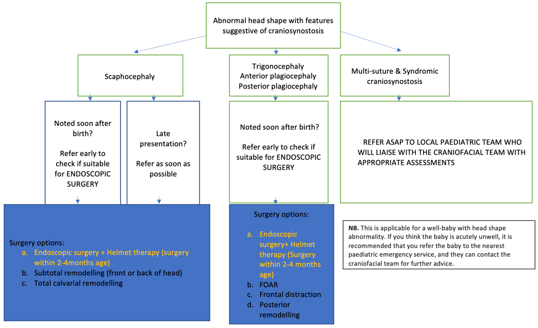 Abnormal head shape flowchart
